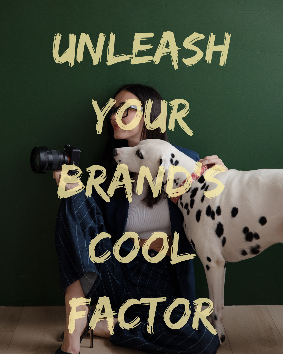 Opal Haus brand positioning graphic