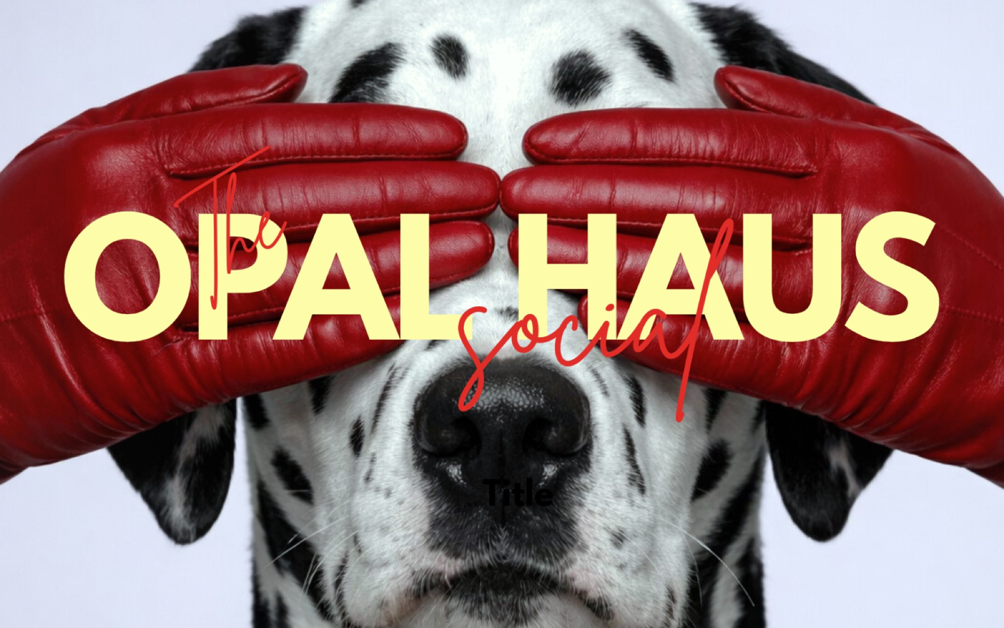 Opal Haus Social campaign artwork featuring a Dalmatian and red leather gloves