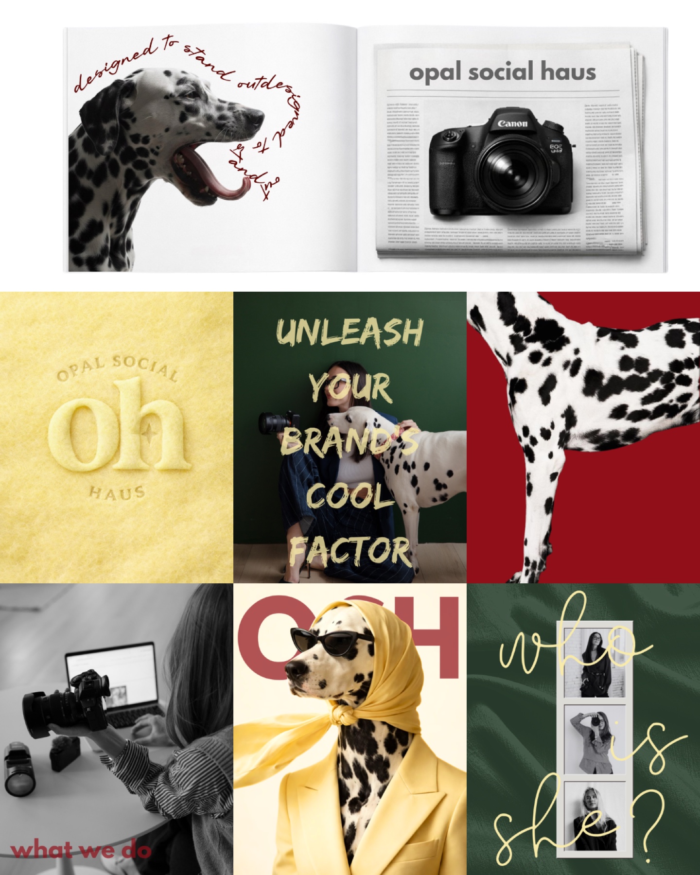 Opal Haus social feed redesign featuring editorial brand imagery and campaign content