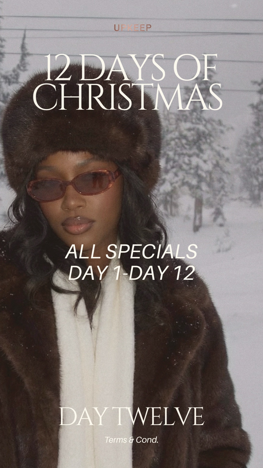 12 Days of Christmas campaign graphic