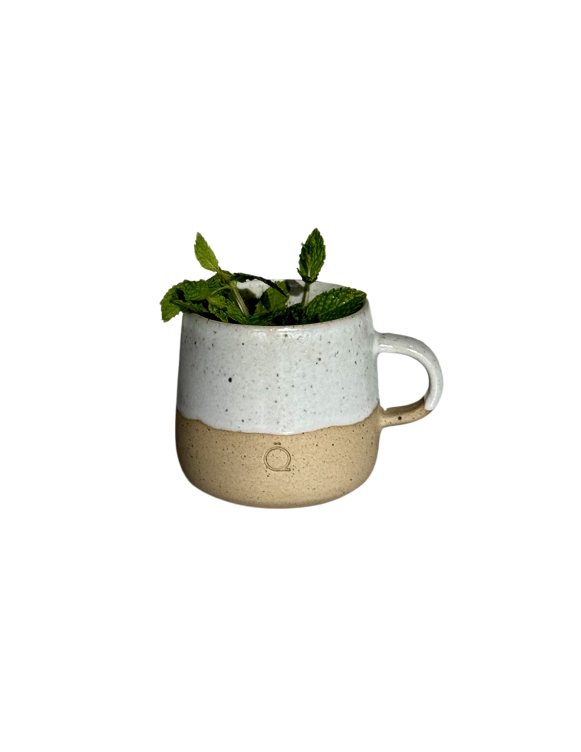 Mint tea in ceramic mug