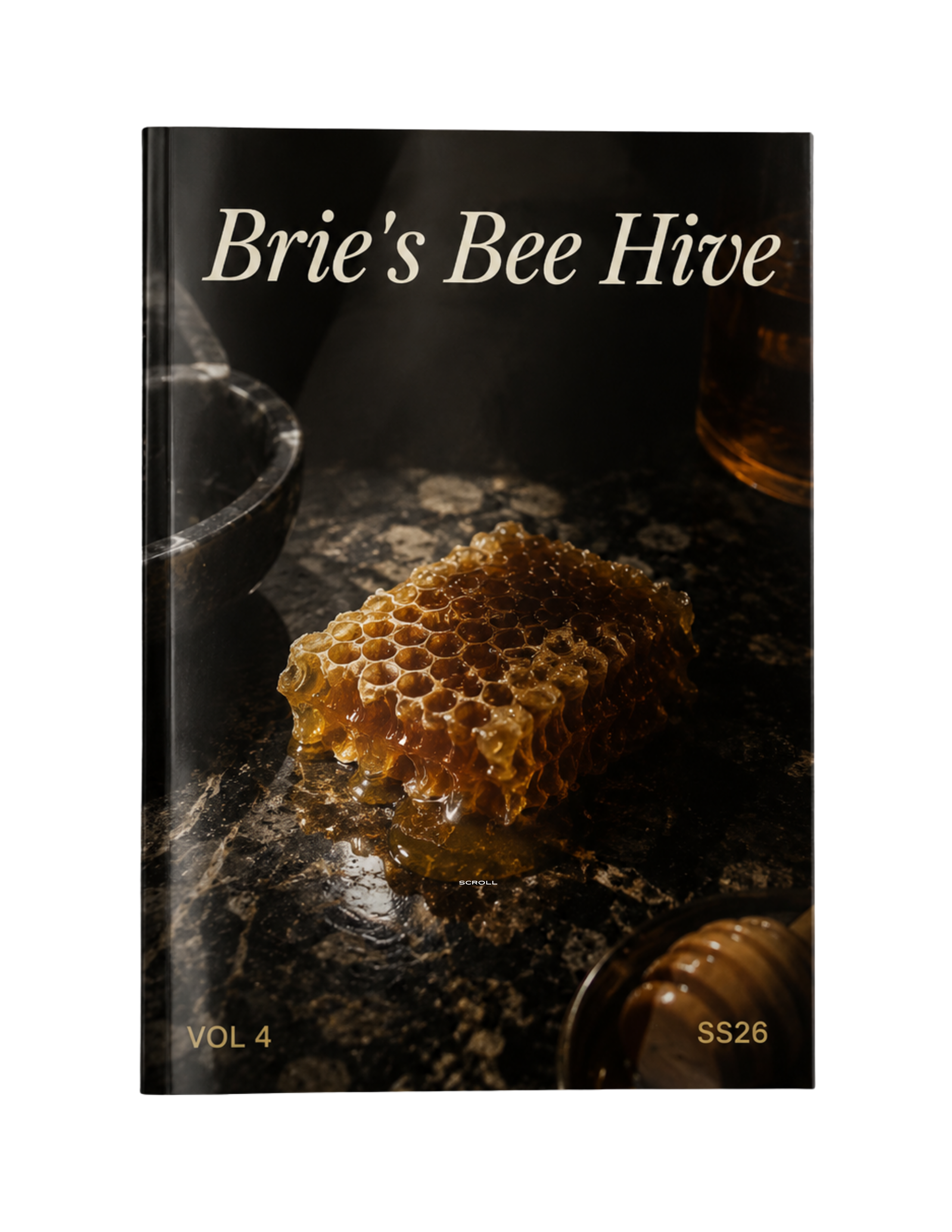 VOL. 04 — Brie's Bee Hive magazine cover